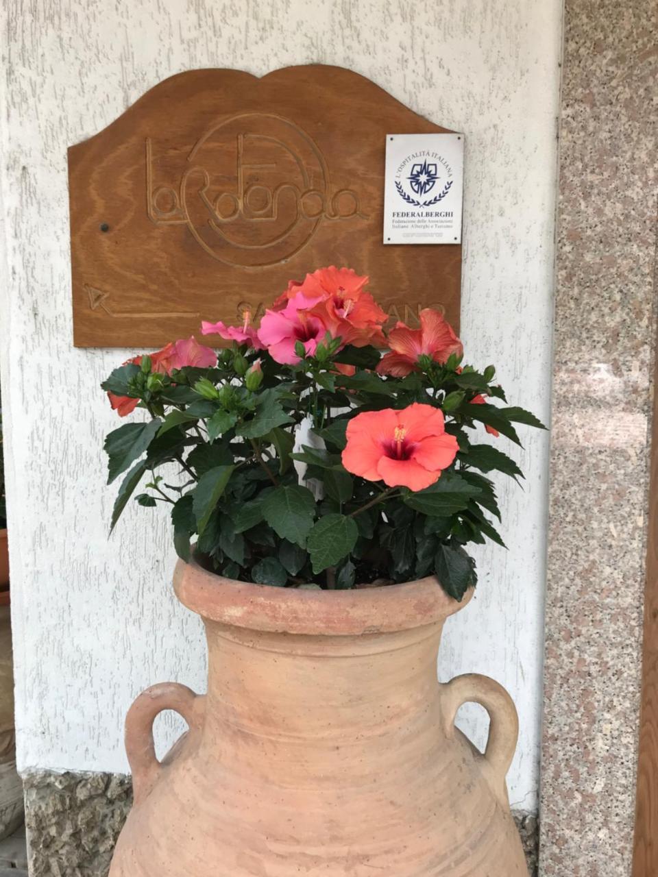 Hotel La Rotonda Cepagatti Экстерьер фото